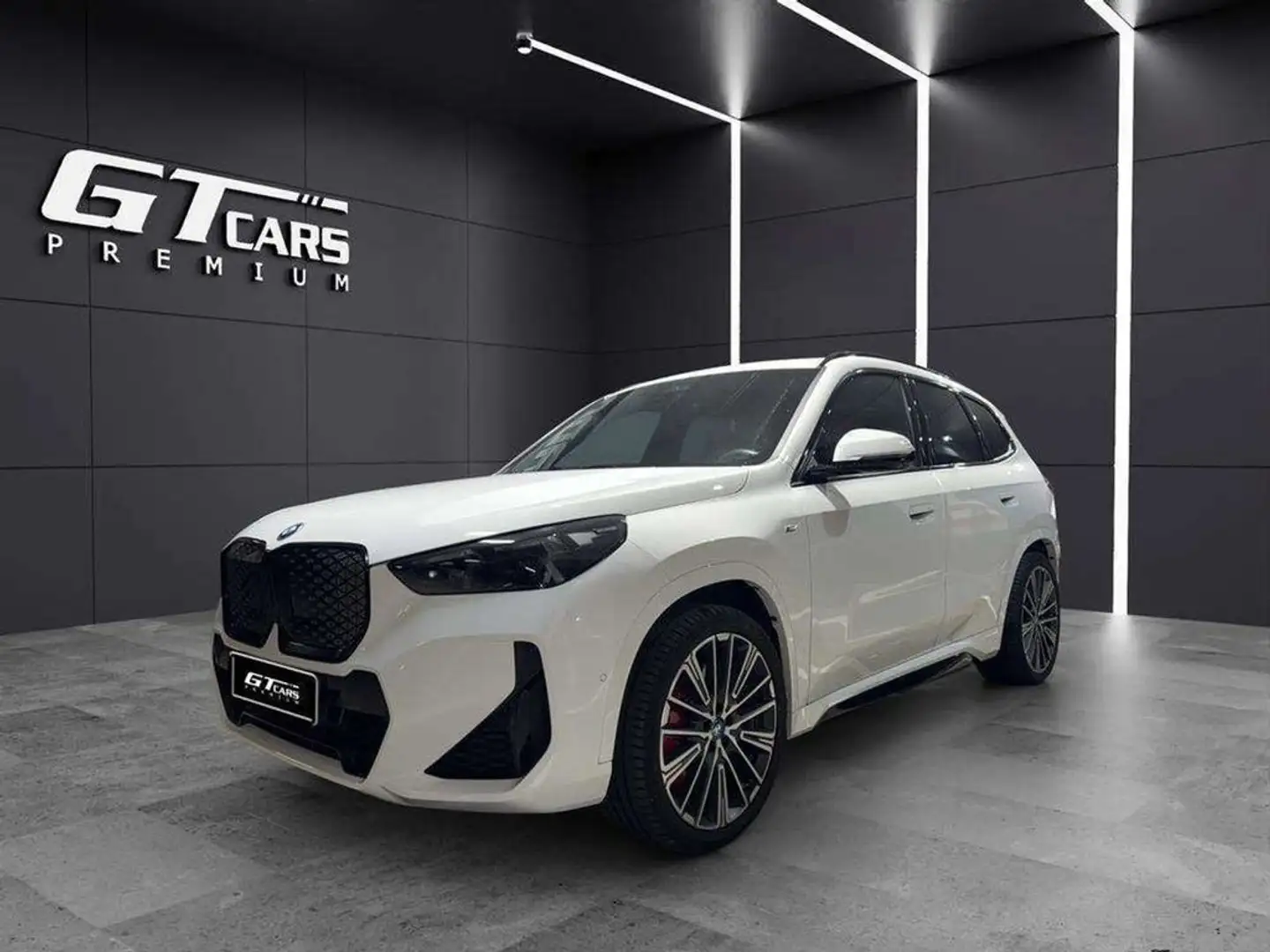 BMW X1 xDrive30 Blanc - 1