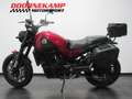Benelli Leoncino 500 Rouge - thumbnail 4