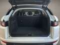 Land Rover Range Rover Evoque 2.0 TD4 180 CV 5p. HSE PRONTA CONSEGNA! Alb - thumbnail 19