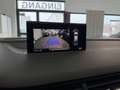 Audi Q7 3.0 TDI e-tron quattro*S-LINE*ACC*PANO*LUFT* Gris - thumbnail 31