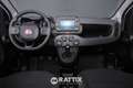 Fiat Panda 1.0 Firefly Hybrid 70CV Cross 5p.ti Bianco - thumbnail 9