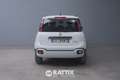 Fiat Panda 1.0 Firefly Hybrid 70CV Cross 5p.ti Bianco - thumbnail 5