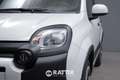Fiat Panda 1.0 Firefly Hybrid 70CV Cross 5p.ti Bianco - thumbnail 3