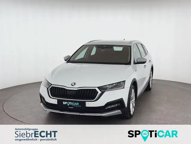 2022 Skoda Octavia in White for sale