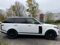Land Rover Range Rover P400e Fifty - FULL OPTION - MASSAGE - HEAD-UP - PA Alb - thumbnail 7