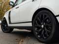 Land Rover Range Rover P400e Fifty - FULL OPTION - MASSAGE - HEAD-UP - PA Alb - thumbnail 12