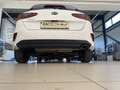 Kia Ceed / cee'd ceed First 100PS.4ZylinderBenziner Blanc - thumbnail 14