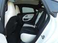 Mercedes-Benz CLA 250 + mit EQ Technologie +AMG+Winter+AHK+Pano Blanc - thumbnail 14