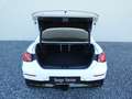 Mercedes-Benz CLA 250 + mit EQ Technologie +AMG+Winter+AHK+Pano Blanc - thumbnail 10