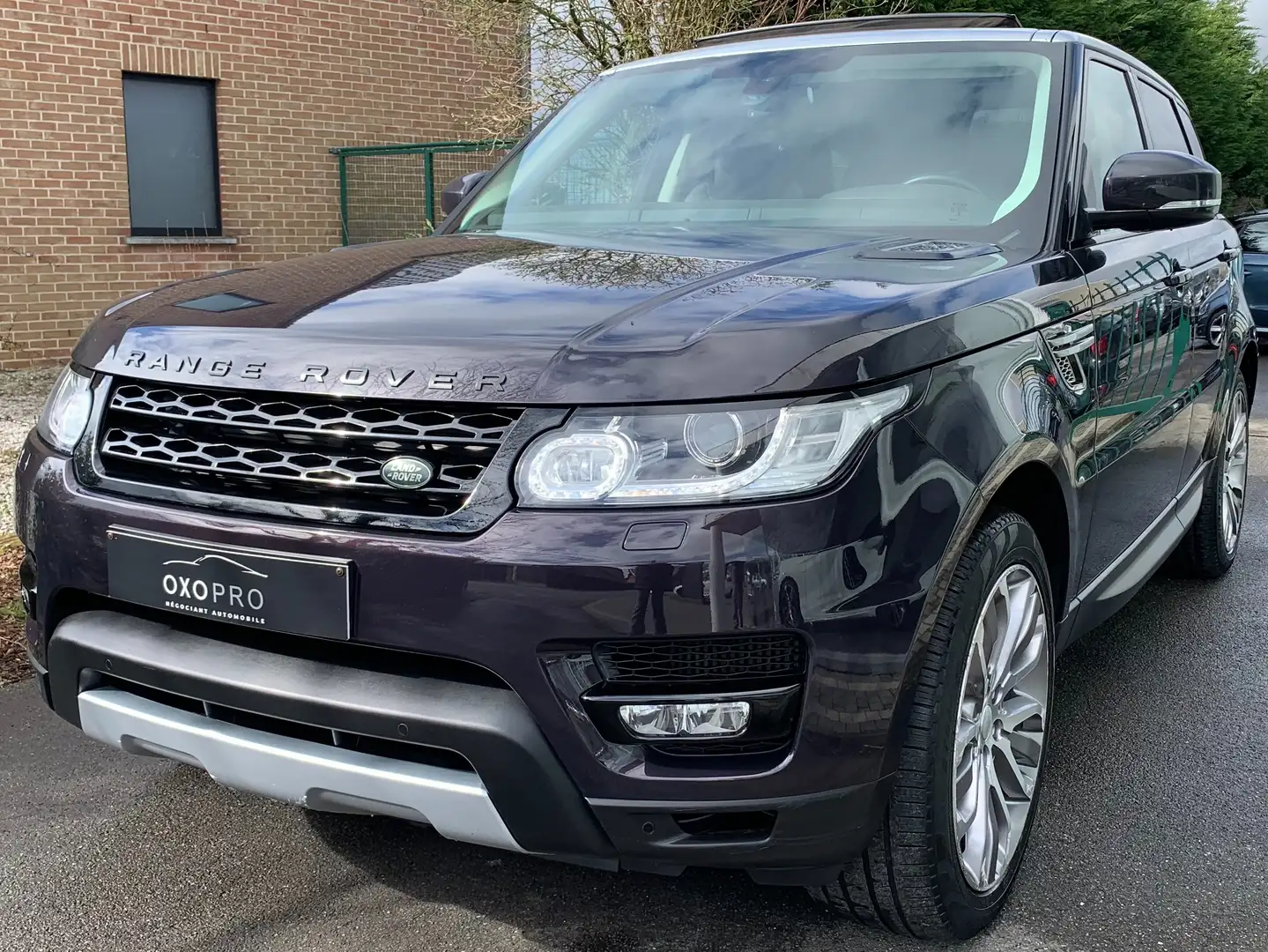 Land Rover Range Rover Sport 3.0 TDV6 HSE Dynamic / FULL FULL OPTIONS / TV / Mauve - 2