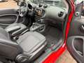 smart forTwo fortwo Cabrio BRABUS Xcl*LEDER*NAVI*JBL*KAM* Blanc - thumbnail 5