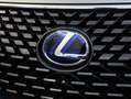 Lexus RX 450h AWD President Line | Facelift | Mark Levinson | Sc Grijs - thumbnail 39