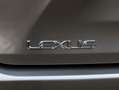Lexus RX 450h AWD President Line | Facelift | Mark Levinson | Sc Grijs - thumbnail 35