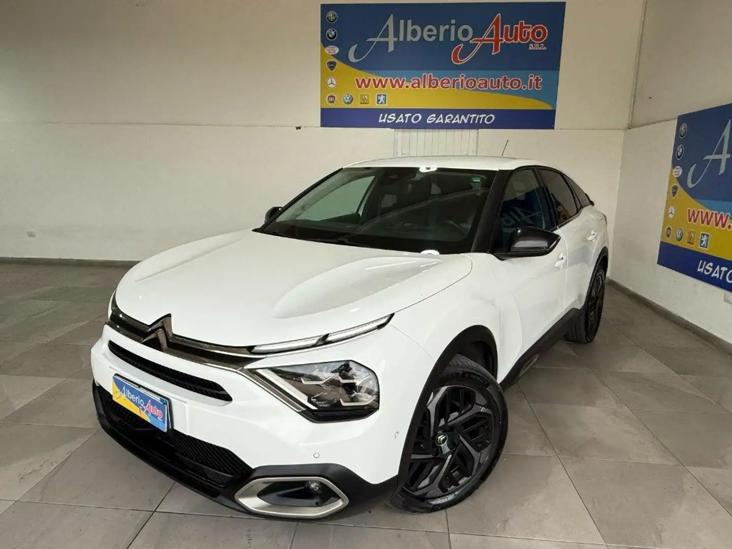 Citroen C4 BlueHDi 130 S&S EAT8 Shine Bianco - 1