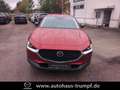 Mazda CX-30 2.5L e-SKYACTIV G 140ps Automatik Homura Rouge - thumbnail 9