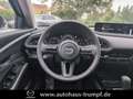 Mazda CX-30 2.5L e-SKYACTIV G 140ps Automatik Homura Rot - thumbnail 9
