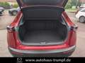 Mazda CX-30 2.5L e-SKYACTIV G 140ps Automatik Homura Rot - thumbnail 12