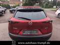Mazda CX-30 2.5L e-SKYACTIV G 140ps Automatik Homura Rot - thumbnail 7