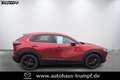 Mazda CX-30 2.5L e-SKYACTIV G 140ps Automatik Homura Rot - thumbnail 3