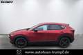 Mazda CX-30 2.5L e-SKYACTIV G 140ps Automatik Homura Rot - thumbnail 1