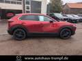 Mazda CX-30 2.5L e-SKYACTIV G 140ps Automatik Homura Rouge - thumbnail 11