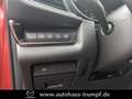 Mazda CX-30 2.5L e-SKYACTIV G 140ps Automatik Homura Rouge - thumbnail 17