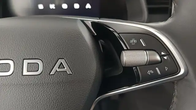 Skoda Kamiq view 15