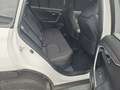 Toyota RAV 4 Plug-in-Hybrid Weiß - thumbnail 7