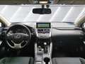 Lexus NX 300 2.5 300h Business Navigation 2WD Weiß - thumbnail 9