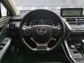 Lexus NX 300 2.5 300h Business Navigation 2WD Blanc - thumbnail 12