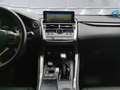 Lexus NX 300 2.5 300h Business Navigation 2WD Bianco - thumbnail 13