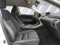 Lexus NX 300 2.5 300h Business Navigation 2WD Blanco - thumbnail 10