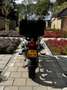BMW R 1200 GS Verde - thumbnail 6