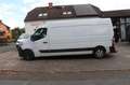 Renault Master III Kasten L3H2 3,5 Komfort netto 8695€ Weiß - thumbnail 3
