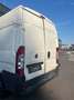 Fiat Ducato Ducato 250 Blanc - thumbnail 10