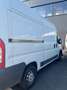 Fiat Ducato Ducato 250 Blanc - thumbnail 6