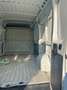 Fiat Ducato Ducato 250 Blanc - thumbnail 8