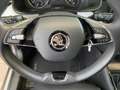 Skoda Kamiq Tour 1.0 TSI LM LED 2xKlima WinterPaket Grau - thumbnail 16