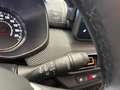 Dacia Sandero Stepway 1.0 tce Comfort SL DaciaPlus Eco-g 100cv Grey - thumbnail 17