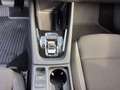 Skoda Octavia 1.5 TSI DSG SELECTION 150 PS LM16 KAMERA Grau - thumbnail 11