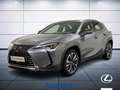 Lexus UX 250h Executive 2wd cvt Grigio - thumbnail 1