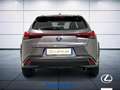 Lexus UX 250h Executive 2wd cvt Grigio - thumbnail 7