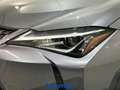 Lexus UX 250h Executive 2wd cvt Grigio - thumbnail 10
