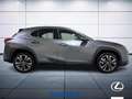 Lexus UX 250h Executive 2wd cvt Grigio - thumbnail 5
