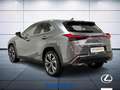 Lexus UX 250h Executive 2wd cvt Grigio - thumbnail 8
