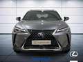 Lexus UX 250h Executive 2wd cvt Grigio - thumbnail 3