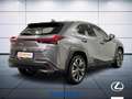 Lexus UX 250h Executive 2wd cvt Grigio - thumbnail 6