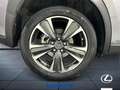 Lexus UX 250h Executive 2wd cvt Grigio - thumbnail 12