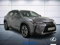 Lexus UX 250h Executive 2wd cvt Grigio - thumbnail 4