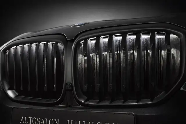BMW X5 X5 view 10